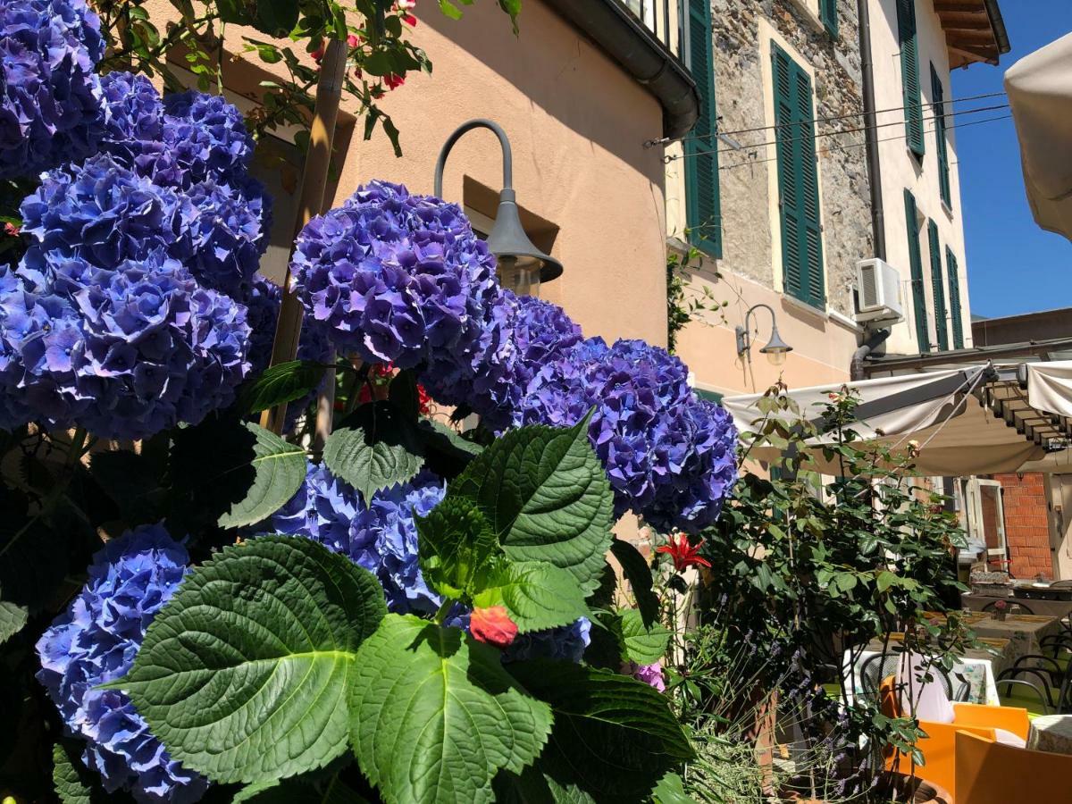 Hotel Antica Stallera Cannobio Dış mekan fotoğraf